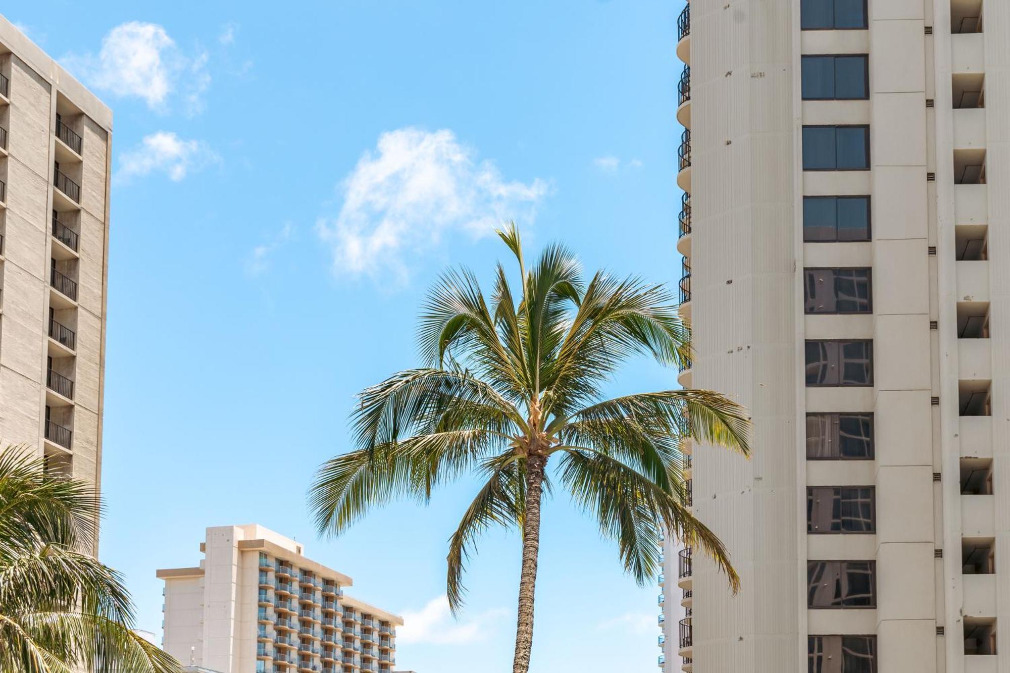 Waikiki Escapade Mountain Views Condo, Steps To Beach With Parking Perk 호놀룰루 외부 사진